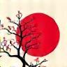 日本市場に精通